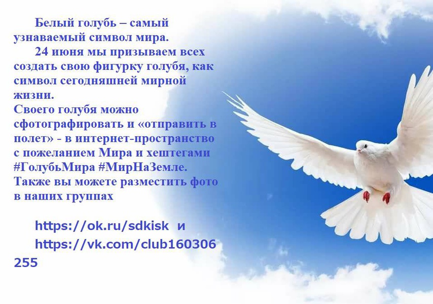 Как пишется голубей. Голубь мира с пожеланиями. Голубь мира со словами. Фото голубя мира рисунок. Голубь мира поздравление.